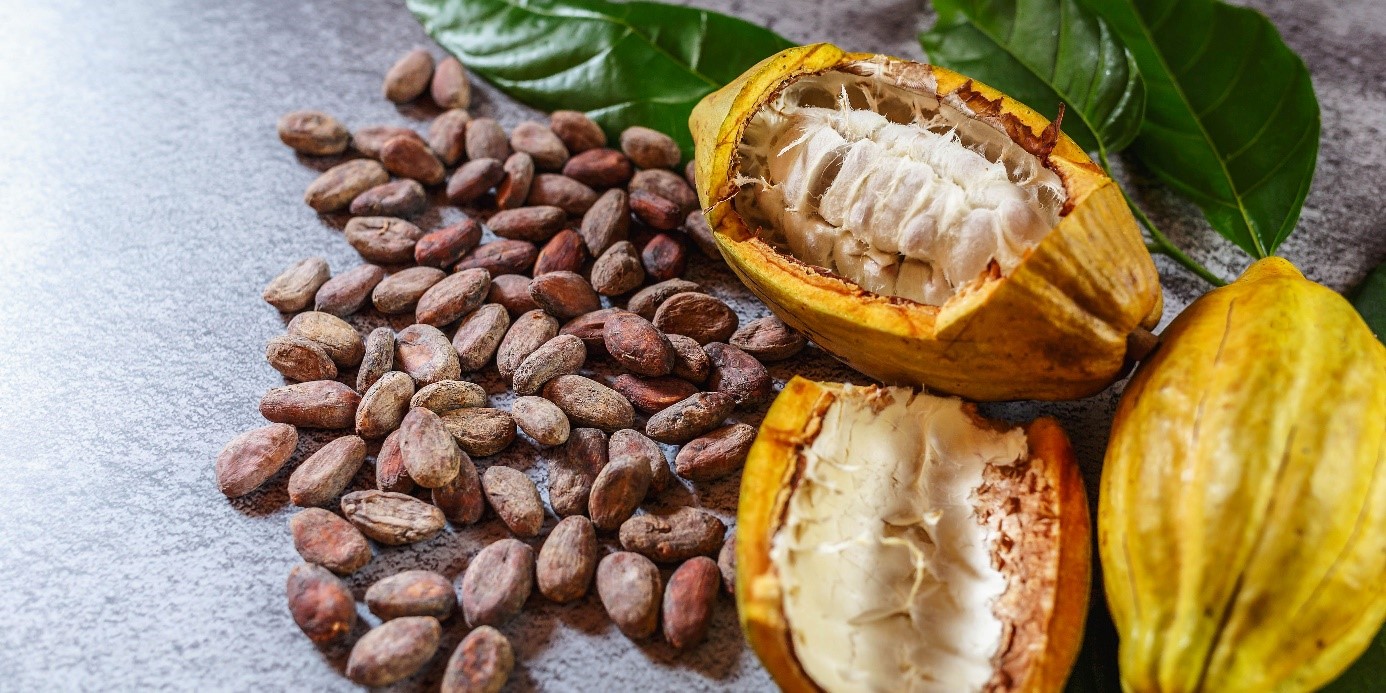 Discover our new « cocoa juice » flavour